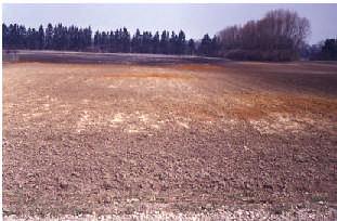 5 Bild 4: Landwirtschaftliche Fläche (links), rechts Bodenpolygone / Hydrotope mit verschiedenen nfk und Flurabständen Kernstück der Bodenwasserhaushaltsmodelle ist die Kontinuitätsgleichung (1D,