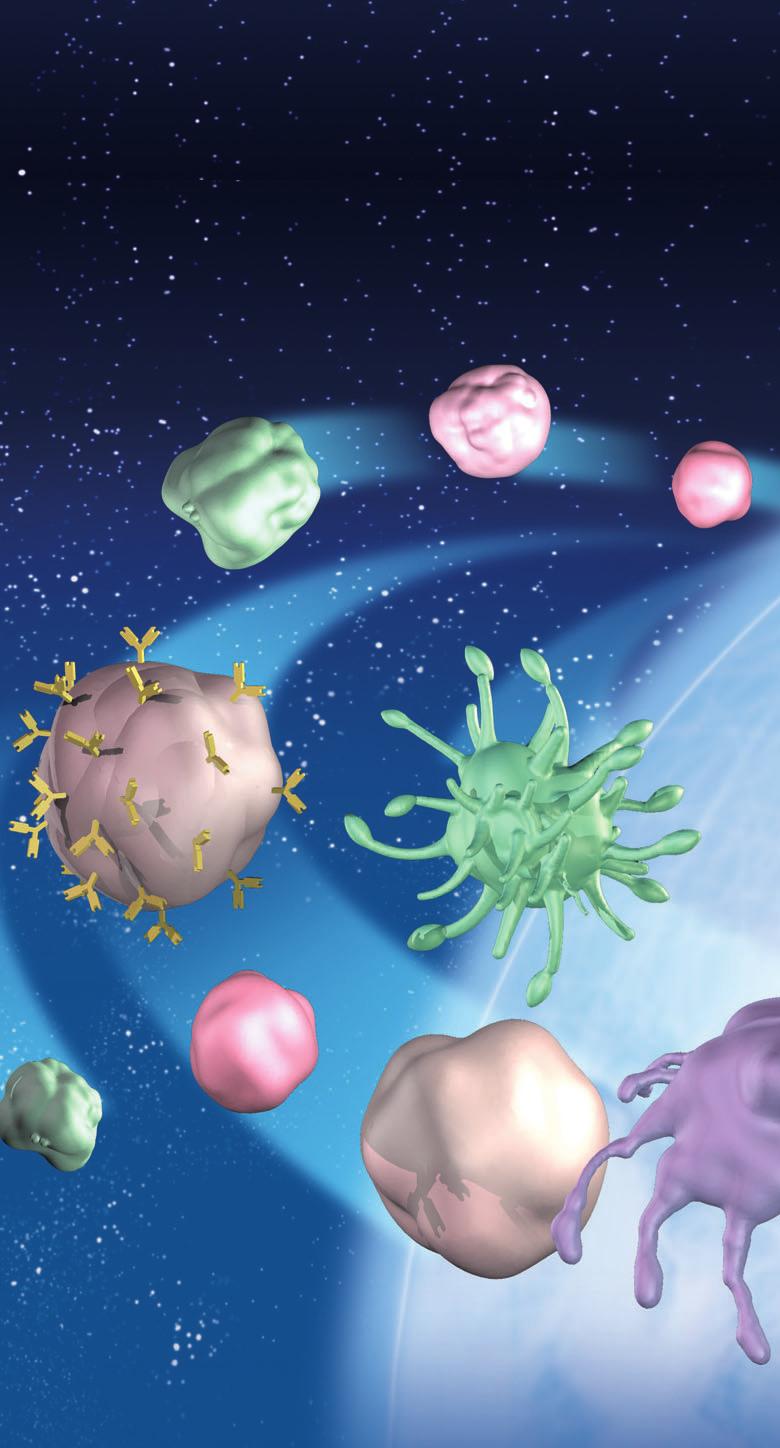 Zentraler Immunfaktor die Entzündung Eine natürliche Abwehrreaktion unseres Immunsystems gegen