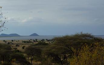 Das Camp bietet geführte Spaziergänge zum Lake Burunge an. Weitere Informationen: http://sangaiwe.