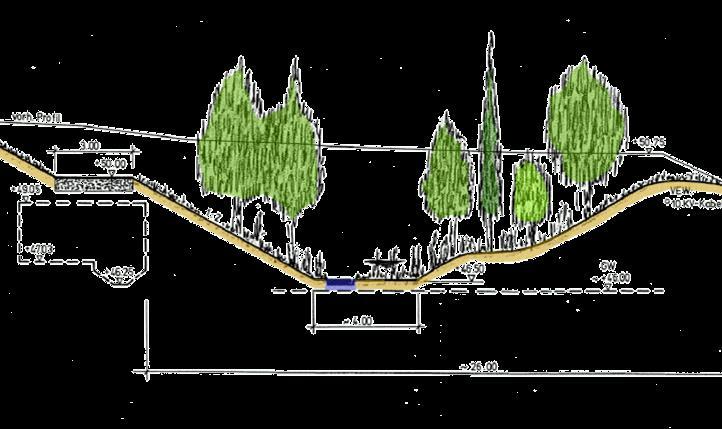 Entflechtung des Holzbachsystems Gegenüberstellung von IST- und