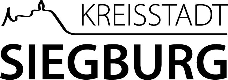 Beteiligungsbericht 2011 der Kreisstadt Siegburg gemäß 117