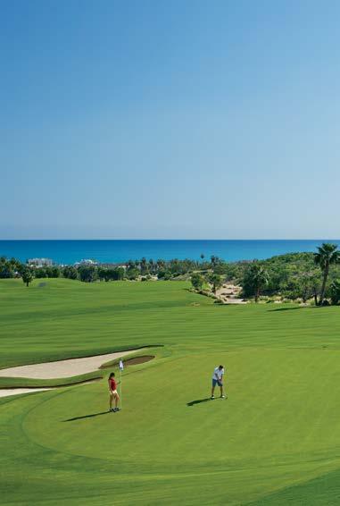 Kostenlose Greenfees RIVIERA MAYA & CANCUN Alle Resorts an der Riviera Maya und in der Cancun Region bieten kostenlose Greenfees auf vier Golfplätzen der Umgebung.