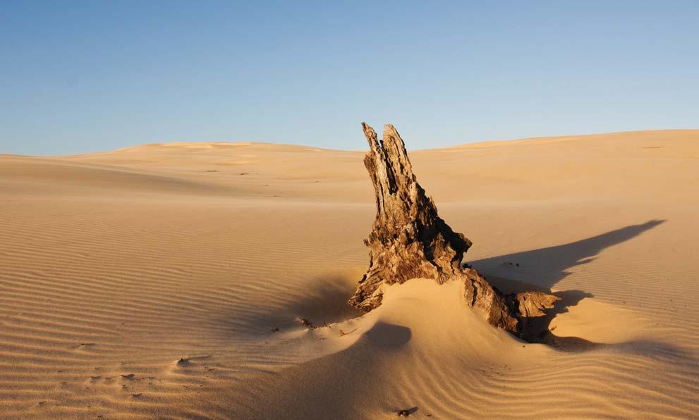 Heiße und kalte Wüsten Eine Wüste ist ein Gebiet, in dem die Menge an Niederschlag weniger als 25 cm pro Jahr beträgt. In einigen Wüsten ist es immer kalt, zum Beispiel in der Antarktis.
