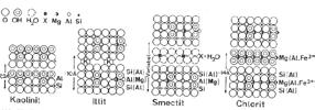 Smectite (Bentonit /Montmorrillonit) bis auf das 20-fache Volumen Gärtnertone Nicht quellfähig sind Zweischichtminerale, sowie Illit und Chlorit (innere Oberflächen durch