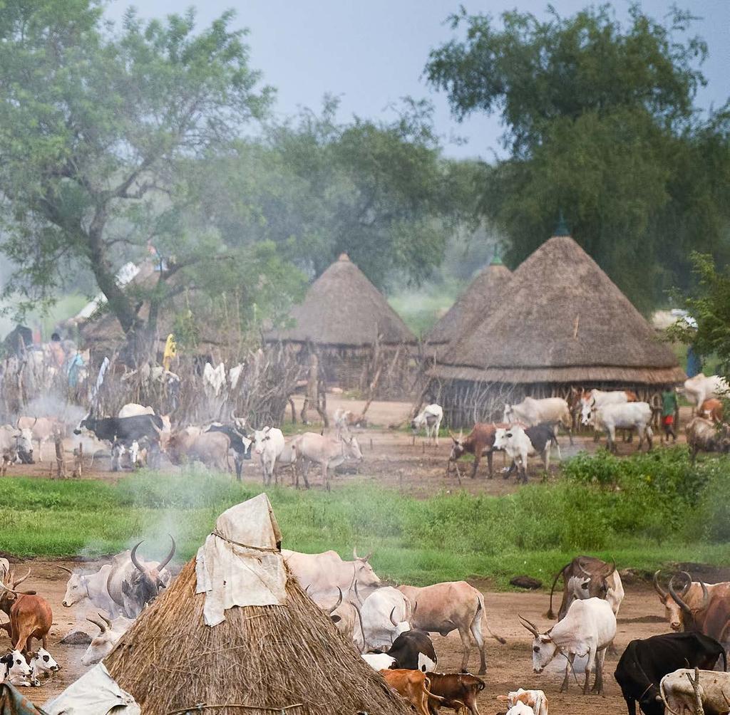 Szene im Dorf Pilual der Region Itang in Äthiopien. Hier leben Menschen der Ethnie der Nuer zumeist von Rinderhaltung.