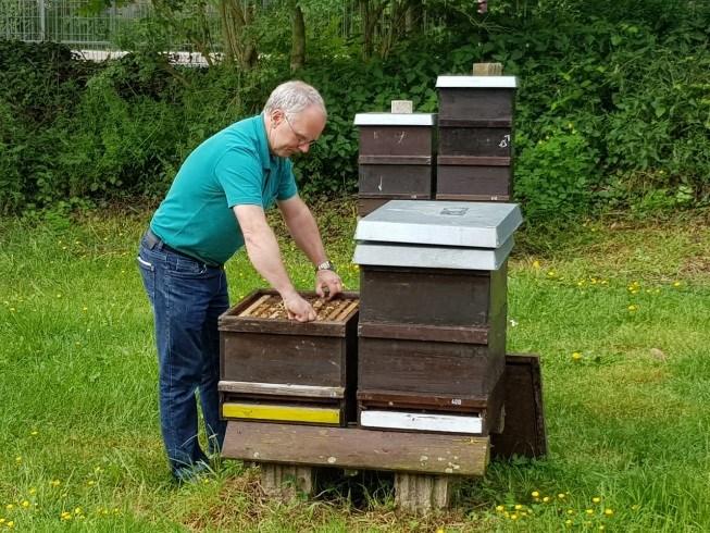 Exkursion zum Thema Bienenschutz DLR Westerwald-Osteifel, Fachzentrum für Bienen und Imkerei Ein Bericht der Schülerinnen und Schüler der Klasse KhLw16B Am 14.05.