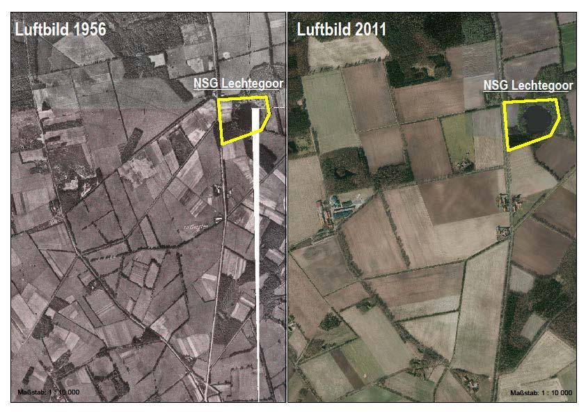 Umsetzung des kommunalen Biotopverbunds im Landkreis Emsland am Beispiel von Wegeseitenstreifen und Fließgewässern 5 1.