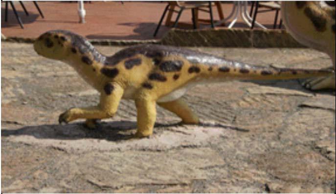 28 Styracosaurusbaby (ca.