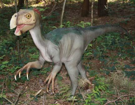 41 Troodon (ca.