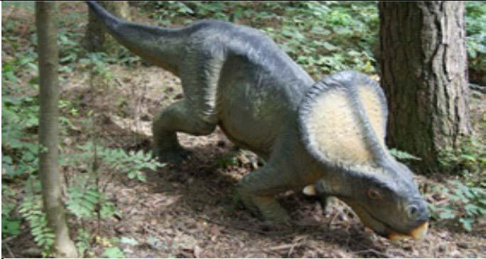 49 Protoceratops (ca.