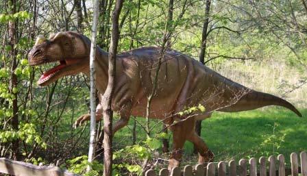 107 Ceratosaurus (160 kg)