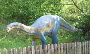 110 Plateosaurus (ca.