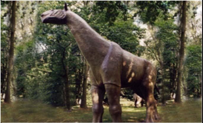 112 Apatosaurus aufrecht (ca.