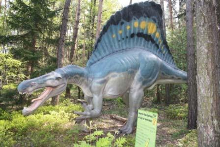 126 Spinosaurus (ca.