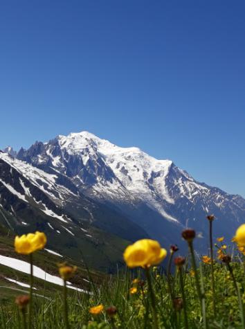 Für uns endete hier die Tour du Mount Blanc.