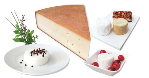 Köstlichkeiten aus der eigenen Hofsennerei... Käsespezialitäten Bereits in der 4. Generation wird bei uns am Bauernhof Käse hergestellt.