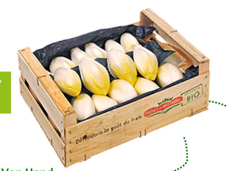 Sie werden von Hand nach Gröβen sortiert undverpackt. Chicoree ist sowohl roh als auch gekocht verzehrbar. Er ist kalorienarm aber reich an Vitaminen, Ballaststoffen und Spurenelementen.