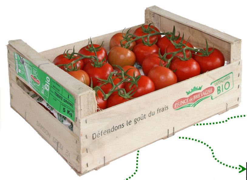 Mit über1000 TonnenErntevolumensinddie RispentomatenbeiweitemdaswichtigsteProduktdes Prince de Bretagne Tomatensortiments.