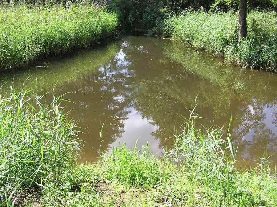 Schönungsbecken am