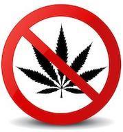 und meistverkauften Arzneien Die Anti-Marihuana Lobby wird