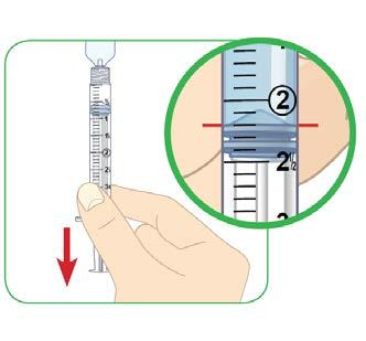 Halten Sie das Unterteil der Ampulle fest und drehen Sie das Oberteil der Ampulle vorsichtig, bis es sich vom Unterteil gelöst hat. Befestigen Sie die Nadel nicht auf der Spritze.