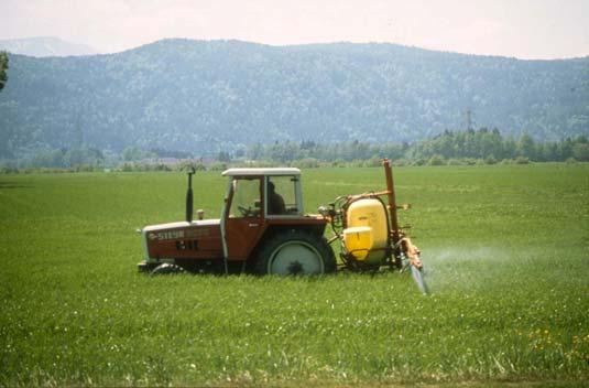 Gefährdungsursachen: Gifte Der Einsatz von Pestiziden insbesondere Insektiziden gilt heute als einer der Hauptgründe für die Bestandseinbrüche Mitte des vorigen Jahrhunderts.