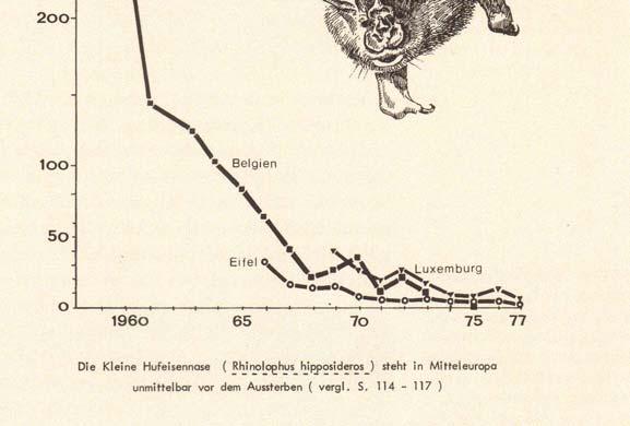 Populationsentwicklung Kleiner Hufeisennasen