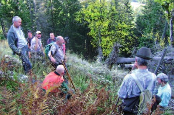 Gemeinsam für den Schutzwald Foto: AELF Weilheim Ortsbegehungen sind ein wichtiger Bestandteil in Beteiligungsverfahren, um mit allen Akteuren die Situation im Bergwald zu analysieren.