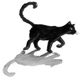1. WARUM ERST DAS GANZE KINO UND DANN MEINE BESTE FREUNDIN WEINTE Meine Freundin sagt, manchmal ist das Leben eine schwarze Katze.
