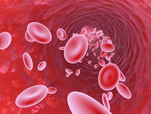 Die Durchblutung der Antrieb des Lebens Unsere Blutgefäße sind ein stark verzweigtes System im Körper, das sauerstoffreiches und -armes Blut durch Venen, Arterien und viele kleine Gefäße