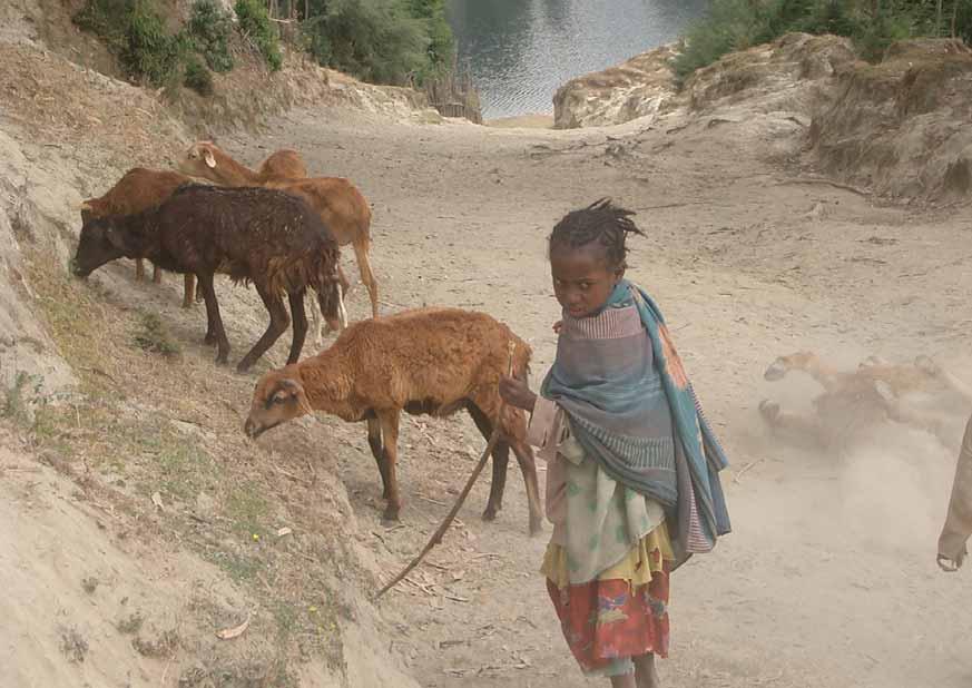 Herausforderung - Kindheit in Äthiopien