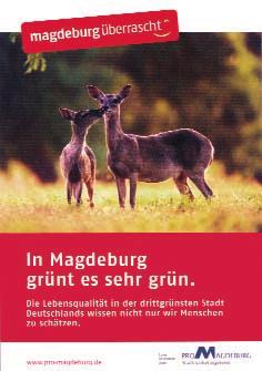 Magdeburg überrascht mit viel Grün, mit großer Geschichte, aber auch als moderne saubere Stadt mit viel Lebensqualität.