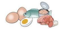 Ernährung bei Endometriose 07 Stufe 5 Fisch, Fleisch, Wurst und Eier Wöchentlich 1-2 Portionen Fisch, pro Woche