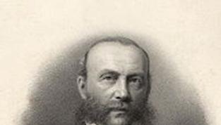C. Brink, II: ZurVorgeschichteder Sozialpsychiatrie im 19. Jahrhundert W.
