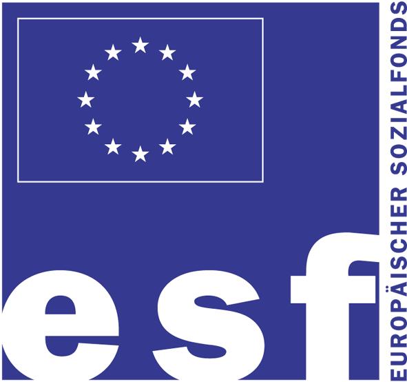 Ad 2) Projekt PerspektivenBildung: Das Selbstbild der Zweiten Generation Auftrag des BMUKK Finanziert vom Europäischen Sozialfonds (ESF)