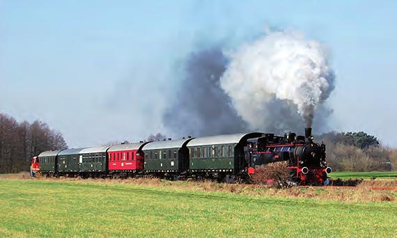 Die umfangreiche Sammlung haben die Berliner Eisenbahnfreunde zusammengetragen, die seit 1997 auch regelmäßig historische Dampfzüge über die Stammstrecke der Heidekrautbahn rollen lassen.