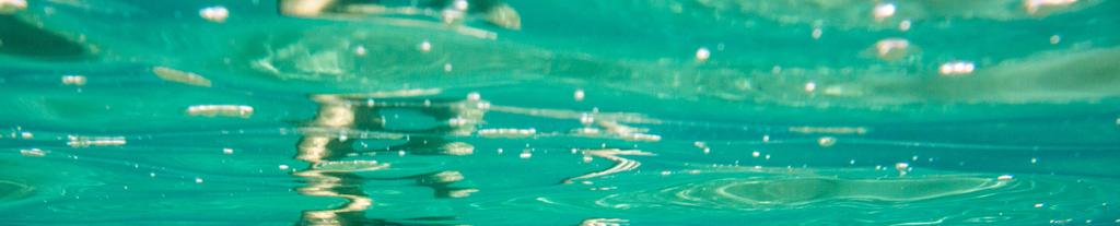 clavis balance. Sanfte Wasserpflege für Ihren Teich clavis balance ist eine Marke aus dem Hause teichitekten Produkteigenschaften von Teichprofis für gesunde Teiche entwickelt.