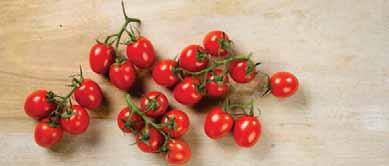 1. 49 GUTE FREUNDE Tomaten lassen sich prima mit Mango kombinieren: als Salat