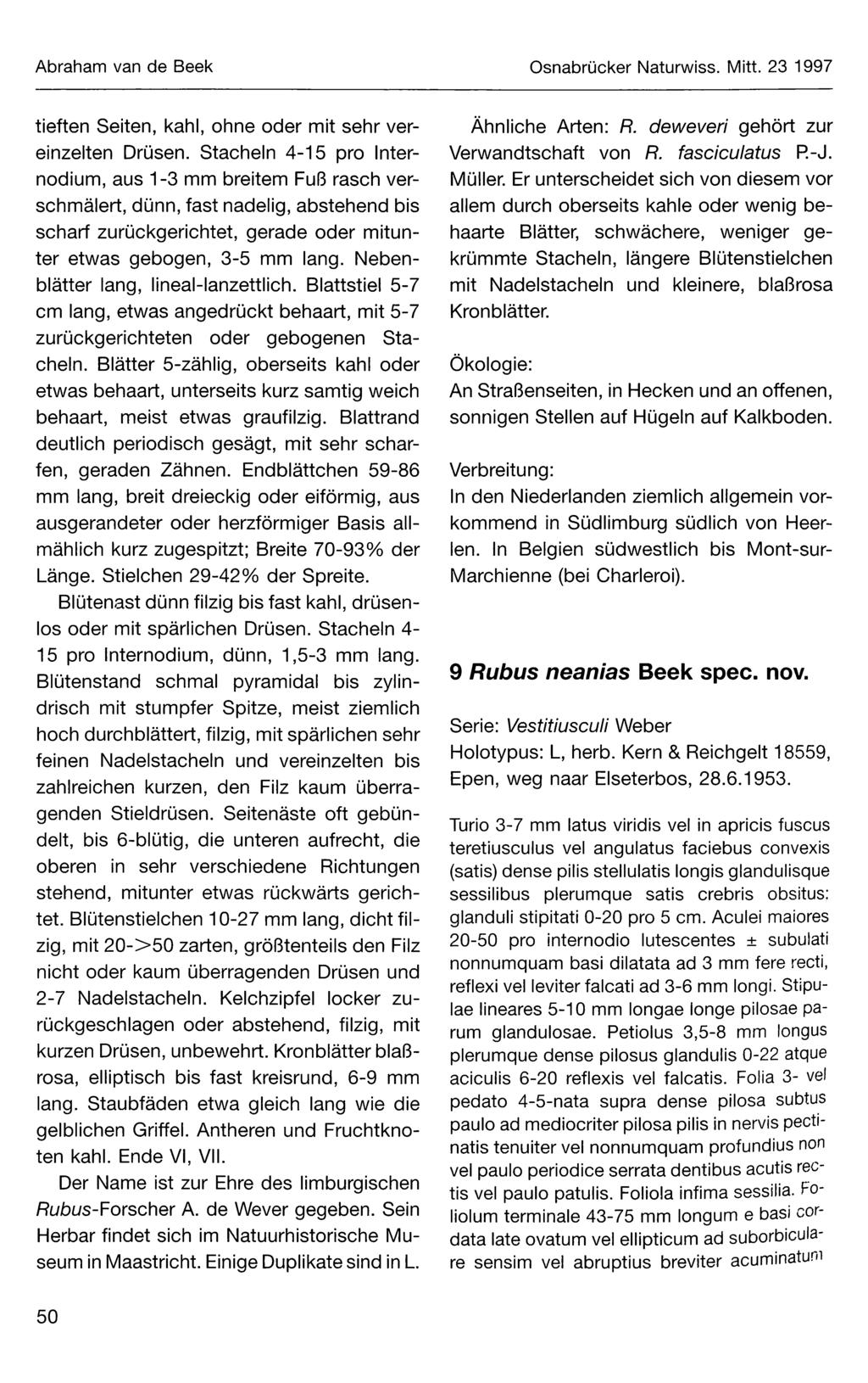 Abraham van de Beek Osnabrücker Naturwiss. Mitt. 23 1997 tieften Seiten, kahl, ohne oder mit sehr vereinzelten Drüsen.