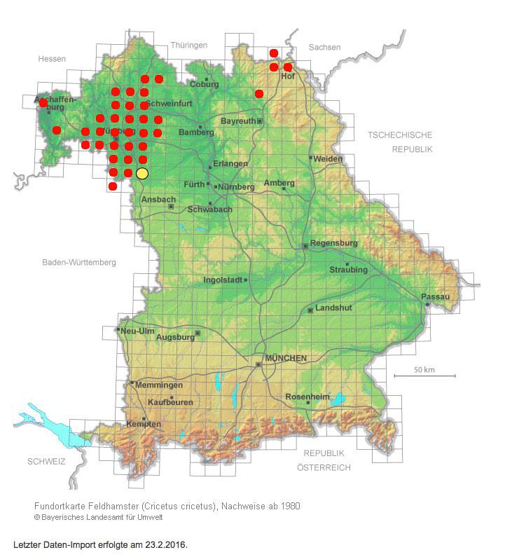 7 3 Feldhamster 3.1 Artinformationen des LfU & ASK Die Fundortkarte des Bayerischen Landesamtes für Umwelt (Abb. 3) weist auf dem für die geplante WEA TK25-Blatt 6427 Uffenheim einen Punkt aus. Abb.