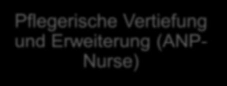 Inhalte des MScN der FHS Pflegefachentwicklung ANP, Ethik Kommunikation Praxiskonzepte