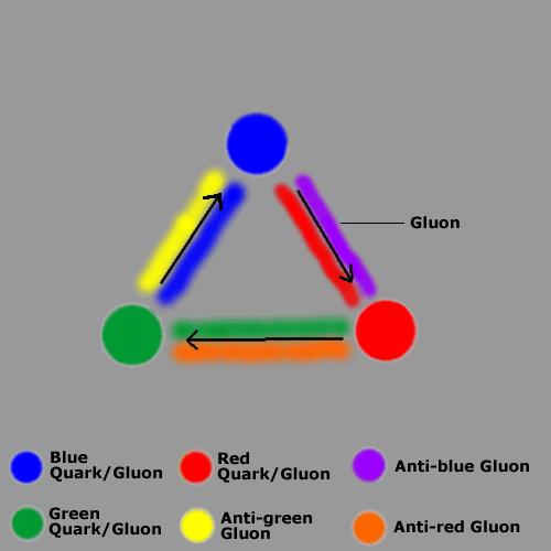 Jedes Gluon trägt 2 Farben 8 Kombinationen