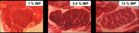 Schlachtgewicht, kg Alter, Monate kg % Wie hoch ist der Fettgehalt von Kalbinnenfleisch? Wieso muss Rindfleisch reifen (=abhängen)?
