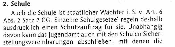 Schutzauftrag von Schule und Jugendhilfe siehe Artikel Professor