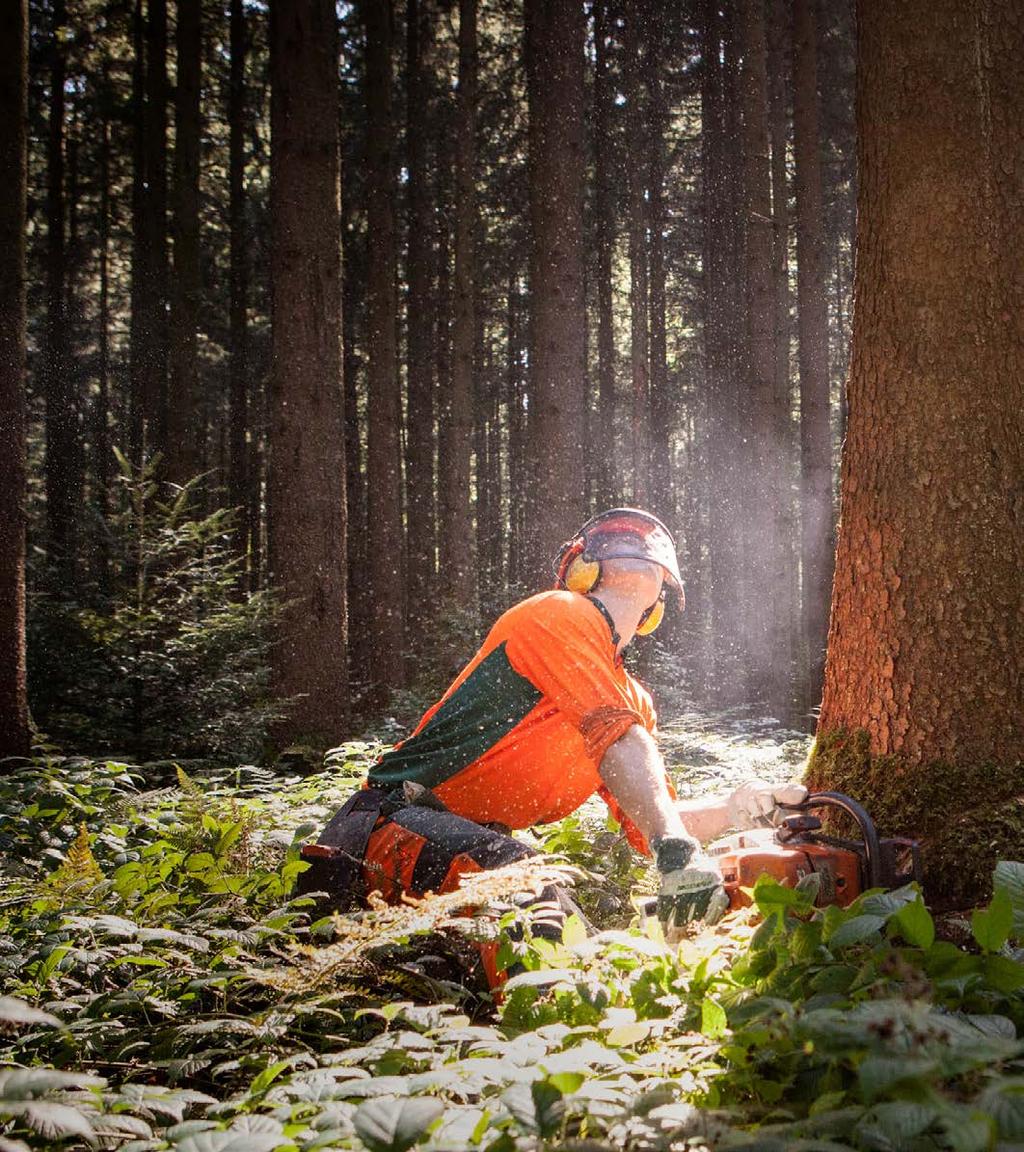 Holznutzung ist Klimaschutz Nachhaltig bewirtschaftete Wälder helfen den Klimawandel abzuschwächen. Verbautes Holz schafft Platz für neue Bäume im Wald, die wiederum CO2 speichern.