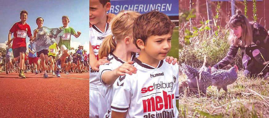 FAIR ways Förderpreis 2018: SC Freiburg - mehr als Fußball Weil am Rhein Fischen in fremden Gewässern Im Rahmen des FAIR Ways Förderpreis Publikumspreises können SC-Fans wieder für eines von drei