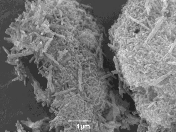 Einfluss von Morphologie und Kristallitgröße 110 Abbildung 7.5: Zeolith ZSM-22 synthetisiert mit vorheriger Inkubation bei 100 C unter permanenter Durchmischung (ZSM-22(C)).