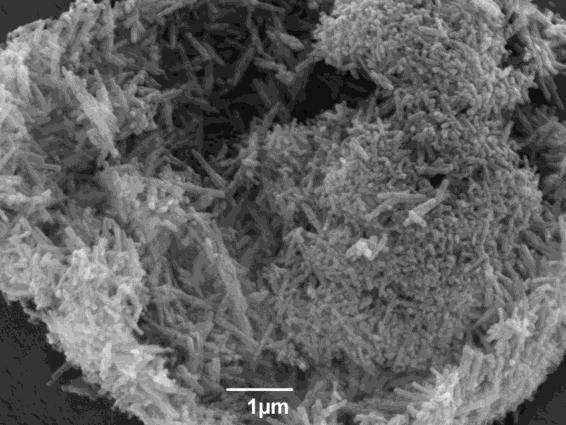 Unter Standardsynthesebedingungen wird Zeolith ZSM-22 auch für dieses n Si /n Al -Verhältnis als nadelförmige Kristallite mit einer durchschnittlichen Größe von 1 bis 2 µm erhalten.