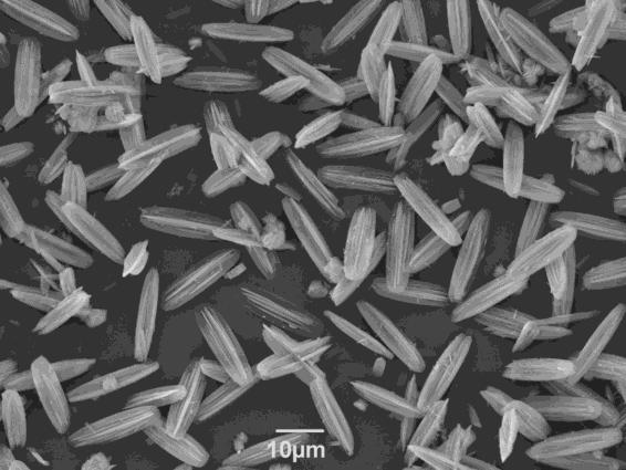 Einfluss von Morphologie und Kristallitgröße 111 verwachsenen, fast ovalen Plättchen aus, mit einer Länge von über 10 µm und einer Dicke von rund 3 µm (siehe