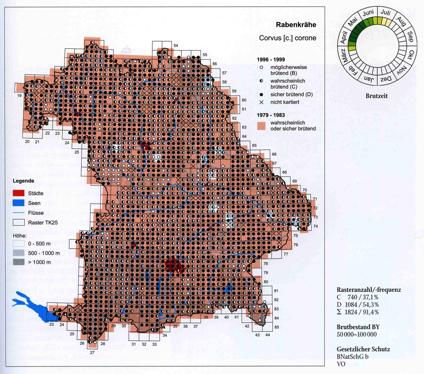 Häufigkeit der Rabenkrähe in BY Rabenkrähen Brutpaare/km² 3 2 1 Fluren (55 %) + Wälder (30 %) = 85 % der Landesfläche BY 0 City Stadtrand Flur Wald